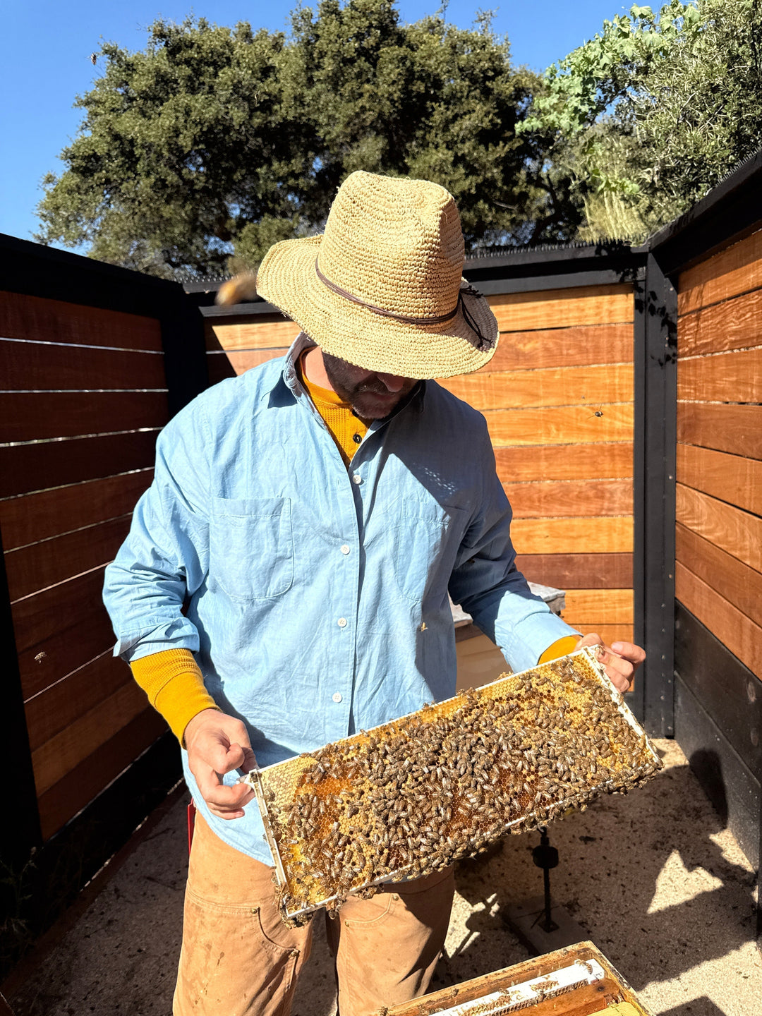 Byron's Bee Co. x FOUR Objects